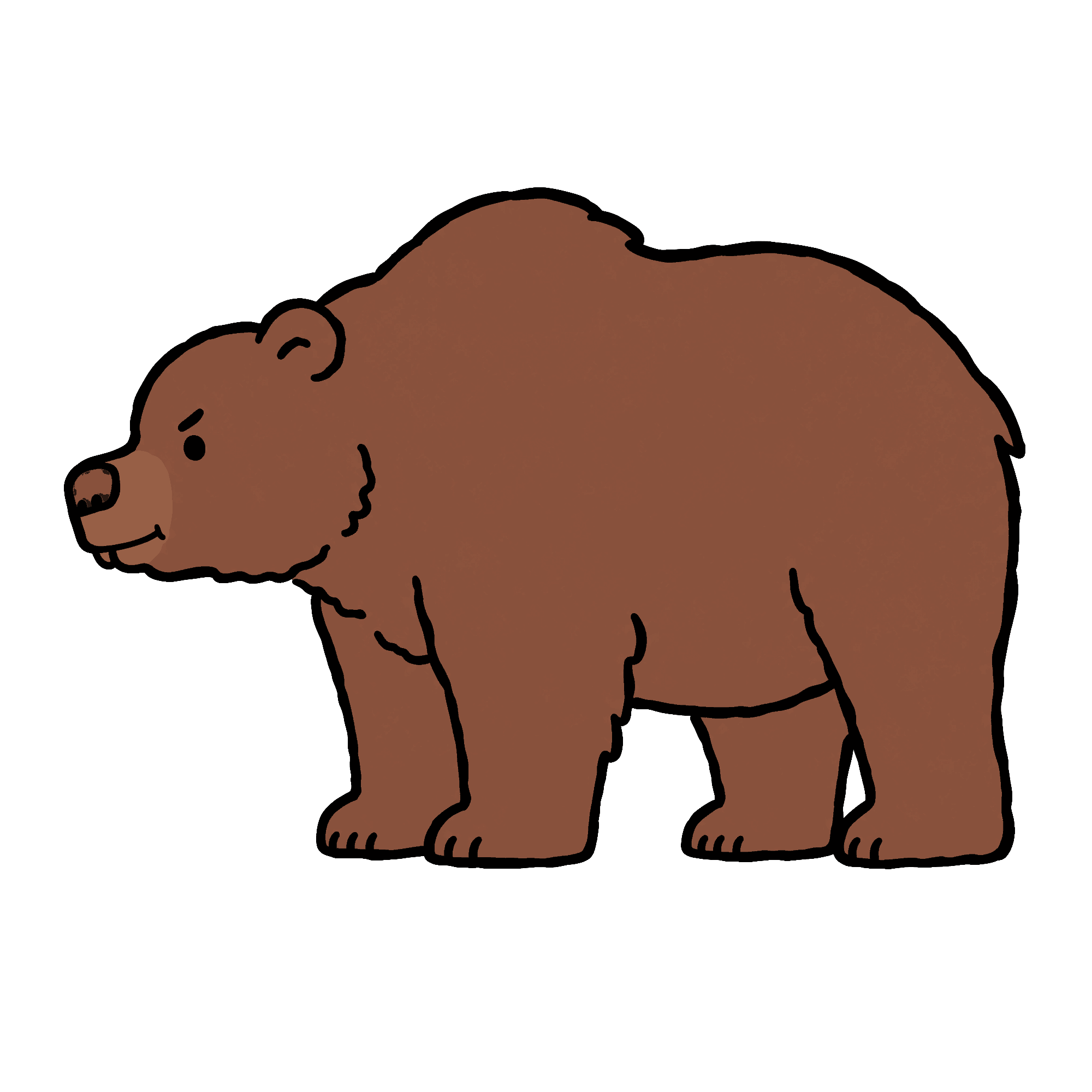Big Animal 07 Grizzly Bear