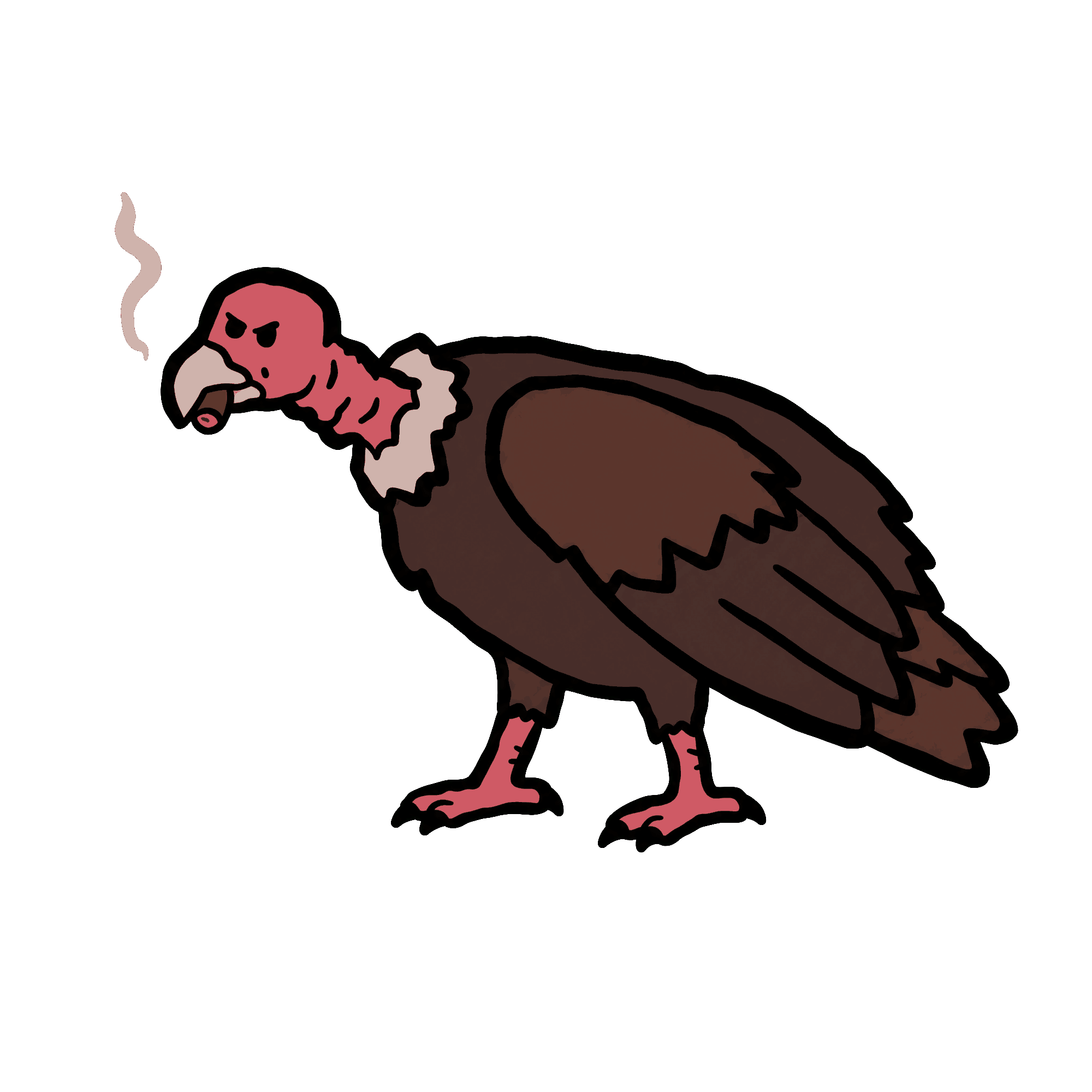 Line-Boil Redo 26 Turkey Vulture