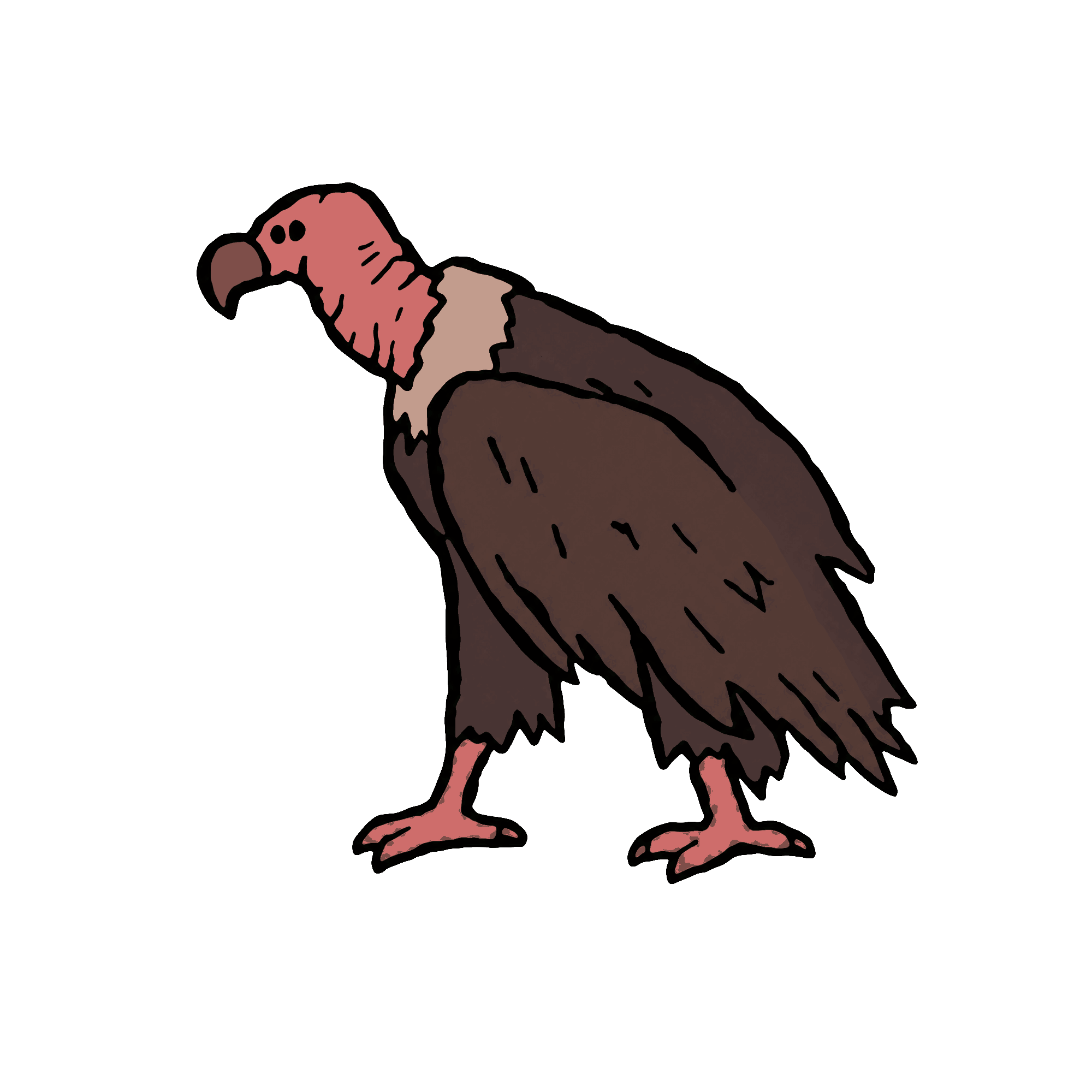 Off-Kilter Animal 26 Turkey Vulture