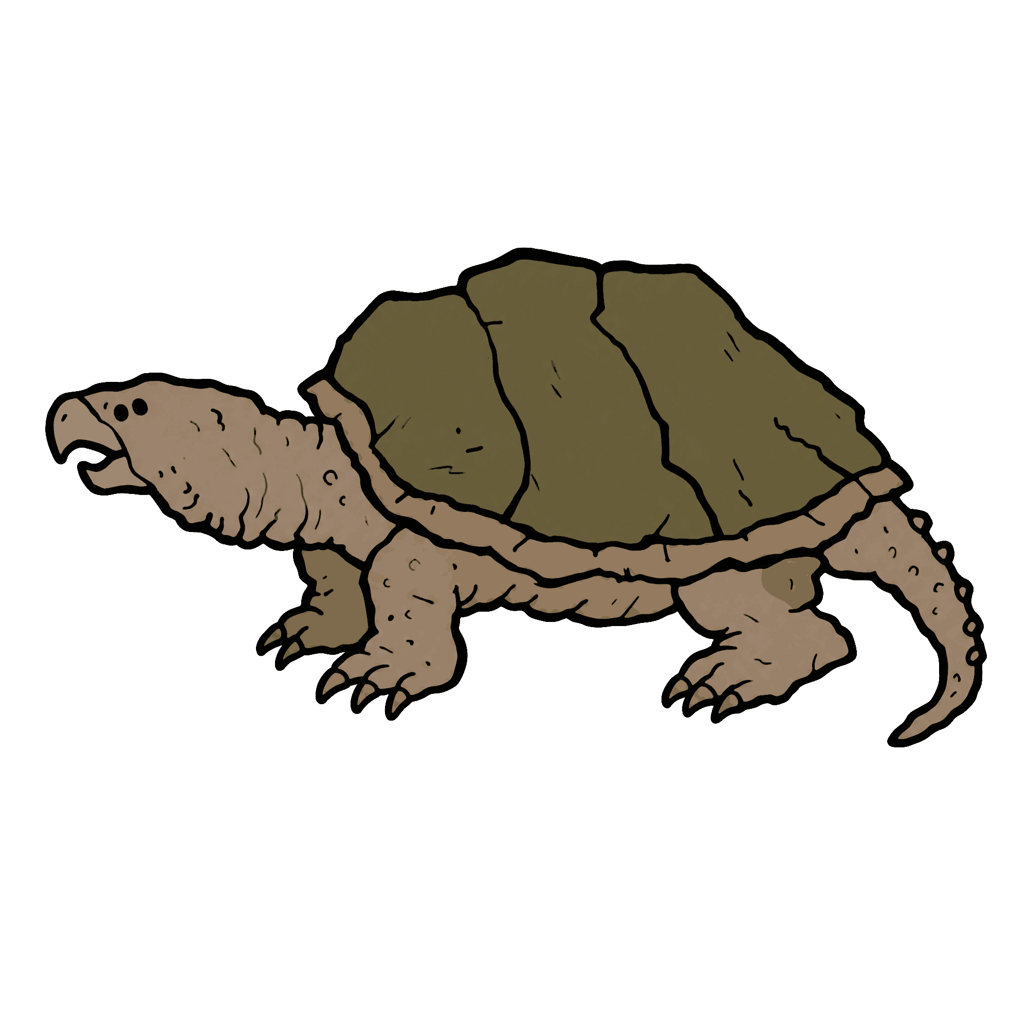 Off-Kilter Animal 30 Old Snapping Turtle