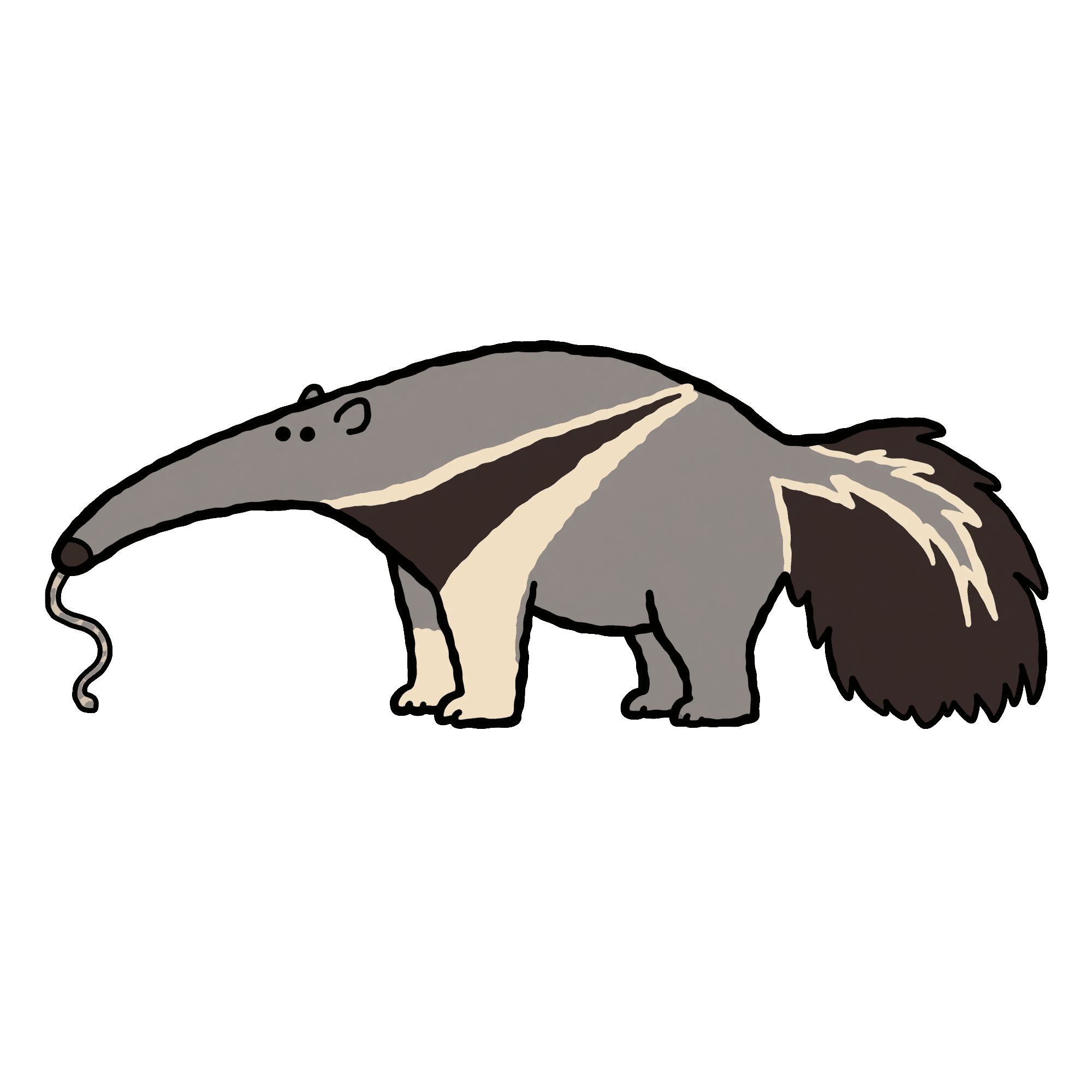 Wacky Animal 13 Giant Anteater